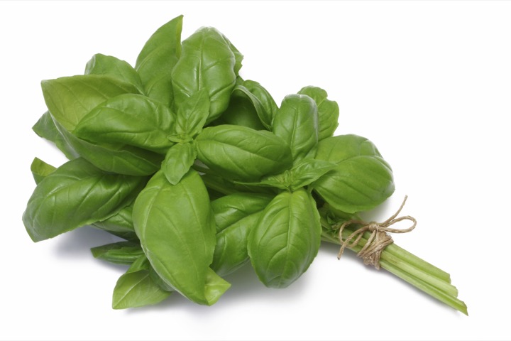 Bunch-of-Basil