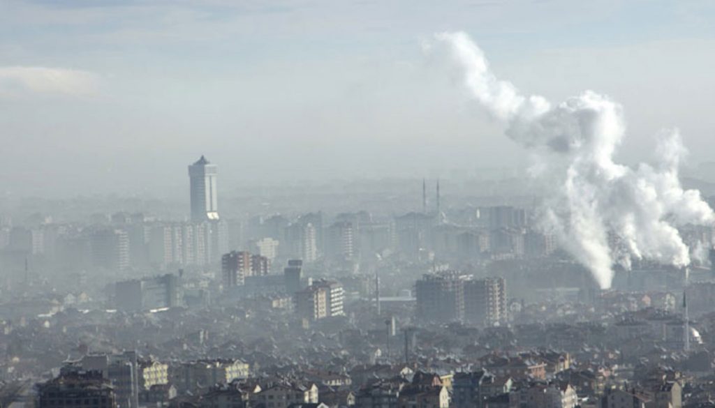 Vitamin B may have ‘protective effect’ against air pollution