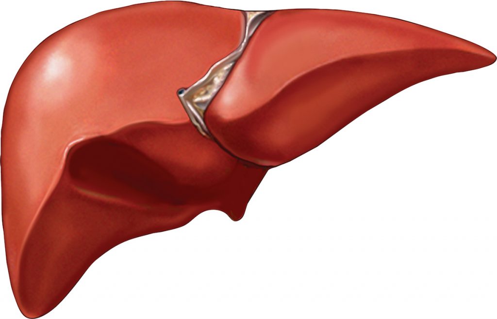 Liver Cirrhosis