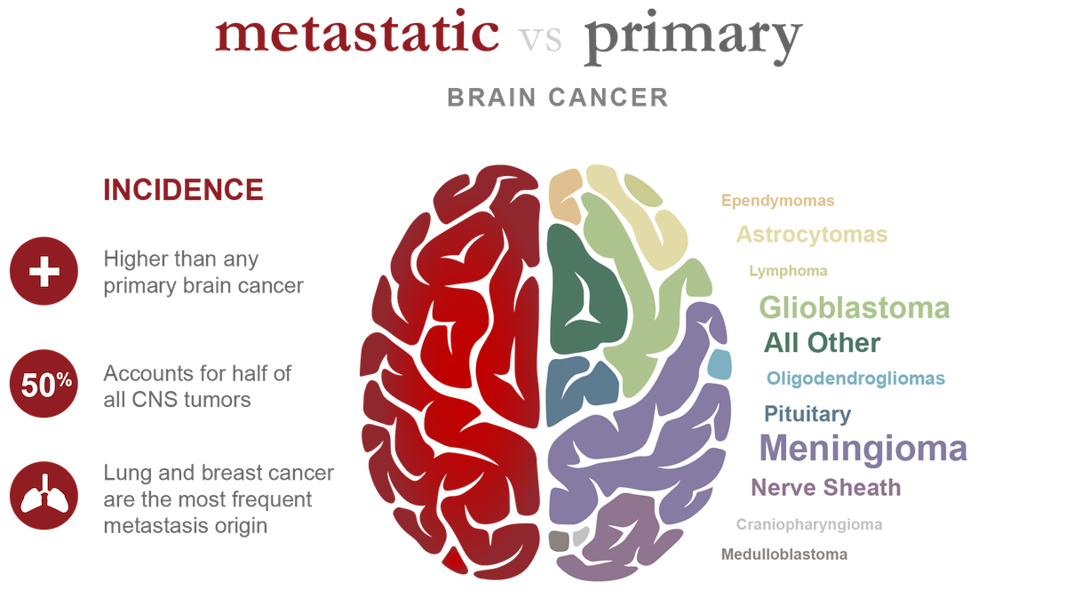 Brain Cancer Types | Hot Sex Picture