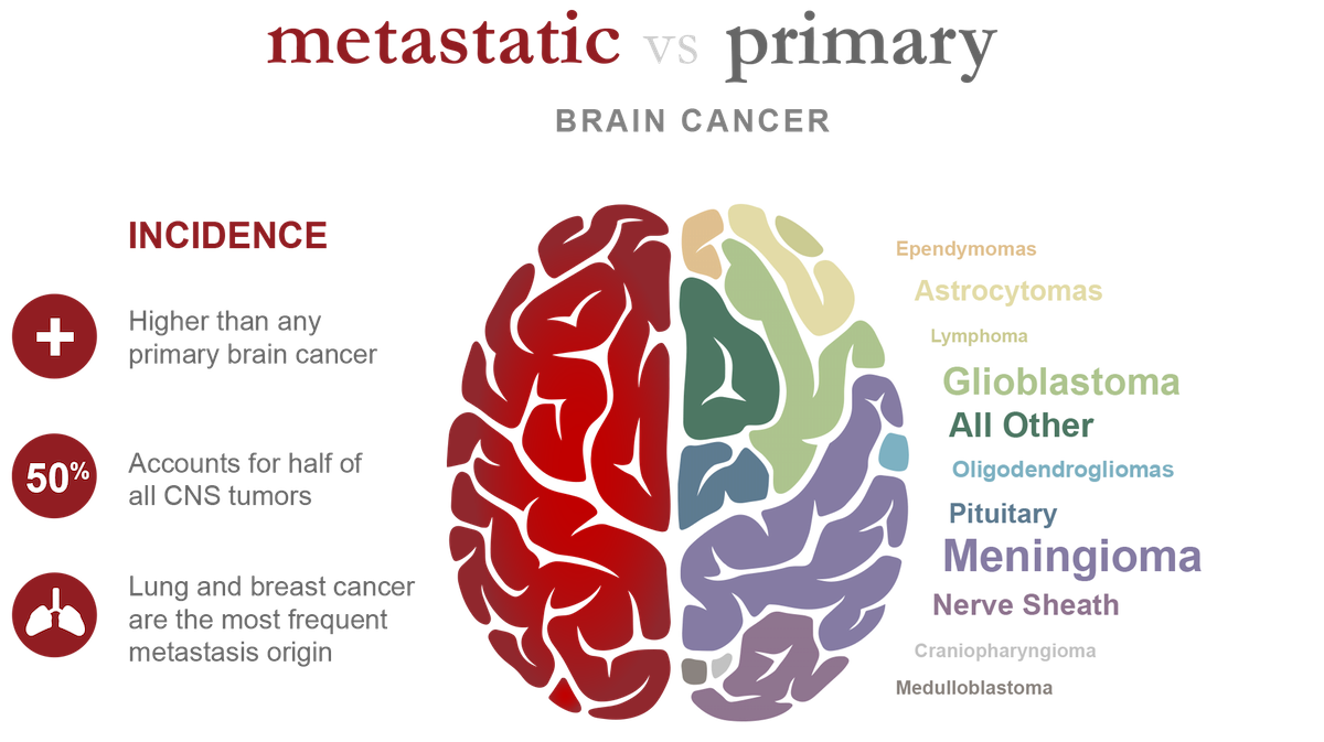 Different Types Of Brain Tumors